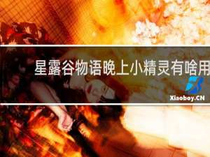 星露谷物语晚上小精灵有啥用