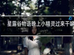 星露谷物语晚上小精灵过来干嘛的