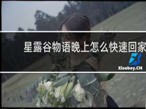 星露谷物语晚上怎么快速回家