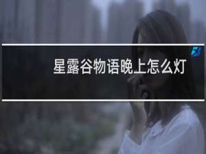 星露谷物语晚上怎么灯