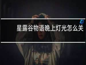 星露谷物语晚上灯光怎么关