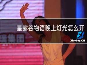 星露谷物语晚上灯光怎么开