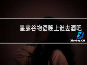 星露谷物语晚上谁去酒吧