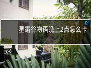 星露谷物语晚上2点怎么卡