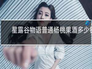 星露谷物语普通杨桃果酒多少钱