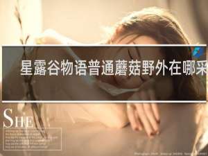 星露谷物语普通蘑菇野外在哪采集