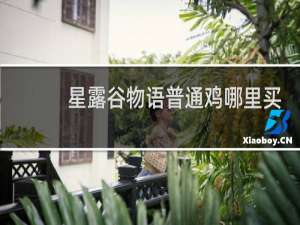 星露谷物语普通鸡哪里买