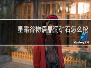 星露谷物语晶洞矿石怎么挖
