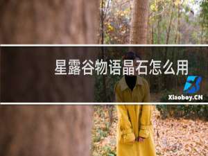 星露谷物语晶石怎么用