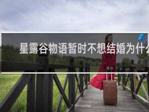 星露谷物语暂时不想结婚为什么