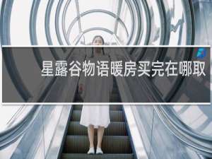 星露谷物语暖房买完在哪取