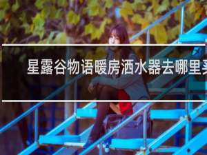 星露谷物语暖房洒水器去哪里买