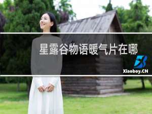 星露谷物语暖气片在哪