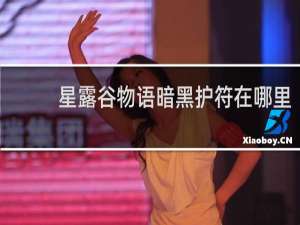 星露谷物语暗黑护符在哪里