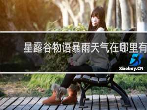 星露谷物语暴雨天气在哪里有