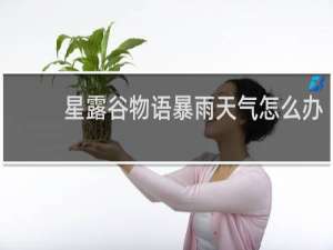星露谷物语暴雨天气怎么办
