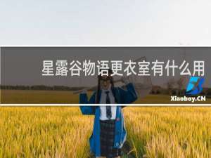 星露谷物语更衣室有什么用