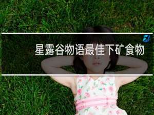 星露谷物语最佳下矿食物