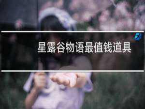 星露谷物语最值钱道具