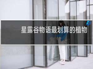 星露谷物语最划算的植物
