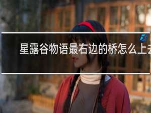 星露谷物语最右边的桥怎么上去