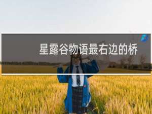 星露谷物语最右边的桥