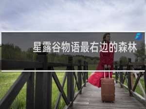 星露谷物语最右边的森林