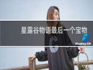 星露谷物语最后一个宝物
