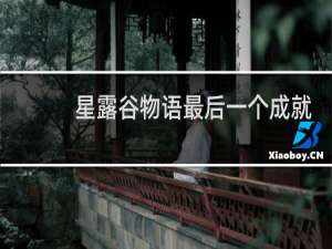星露谷物语最后一个成就