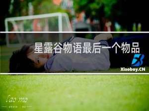 星露谷物语最后一个物品