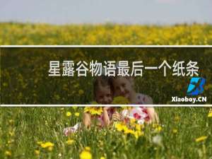 星露谷物语最后一个纸条