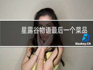 星露谷物语最后一个菜品