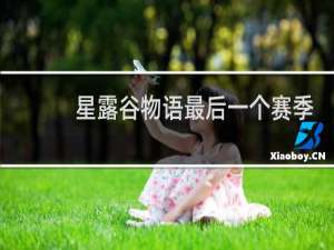 星露谷物语最后一个赛季