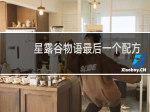 星露谷物语最后一个配方