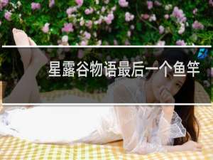 星露谷物语最后一个鱼竿