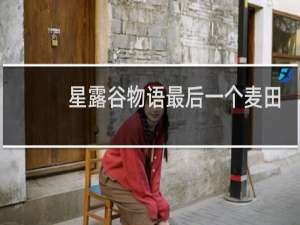 星露谷物语最后一个麦田
