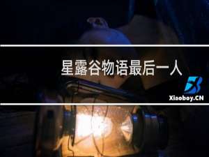 星露谷物语最后一人