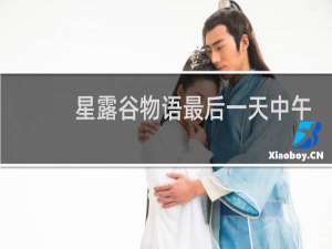 星露谷物语最后一天中午