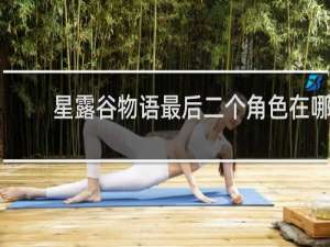 星露谷物语最后二个角色在哪