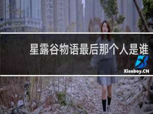 星露谷物语最后那个人是谁