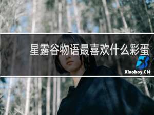 星露谷物语最喜欢什么彩蛋