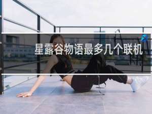 星露谷物语最多几个联机