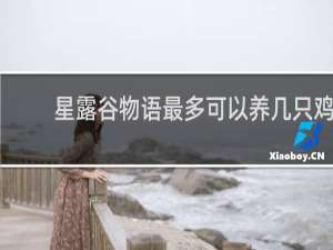 星露谷物语最多可以养几只鸡