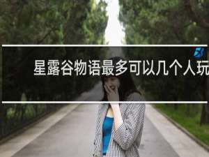 星露谷物语最多可以几个人玩