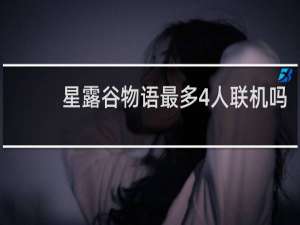 星露谷物语最多4人联机吗