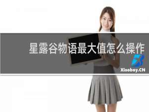 星露谷物语最大值怎么操作