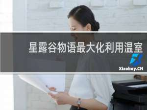 星露谷物语最大化利用温室