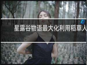 星露谷物语最大化利用稻草人