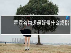 星露谷物语最好带什么戒指