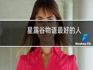 星露谷物语最好的人
